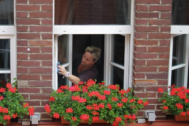 Clean the windows on a regular basis